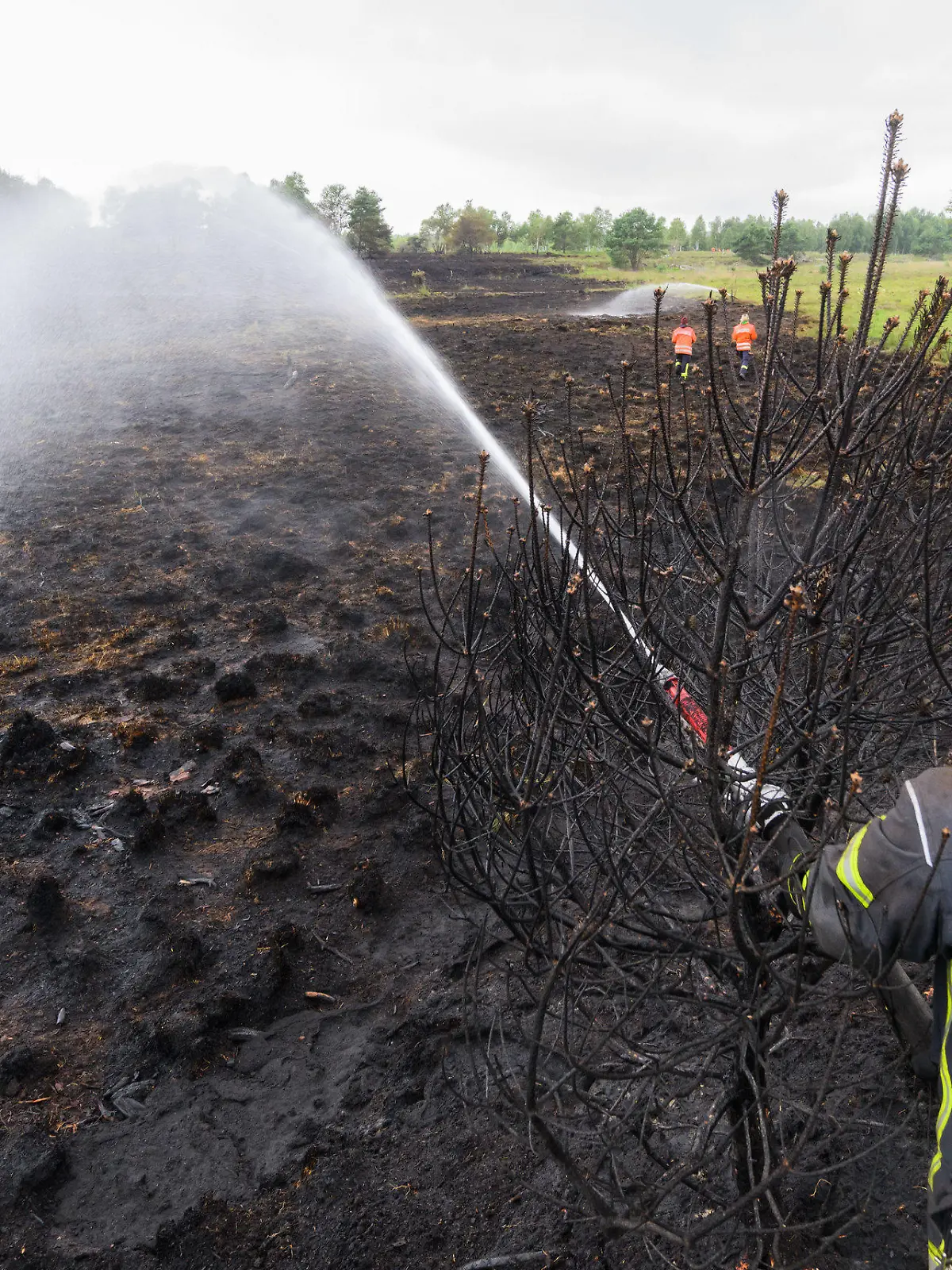22.07.2022, Niedersachsen, Sassenburg: Ein Feuerwehrmann löscht einen Brand im Großen Moor im Landkreis Gifhorn. Am Donnerstag war im Moor ein Feuer auf einer Fläche der Größe von rund 35 Fußballfeldern ausgebrochen. Die Löscharbeiten werden nach Angaben der Feuerwehr voraussichtlich mehrere Tage andauern. Foto: Julian Stratenschulte/dpa +++ dpa-Bildfunk +++