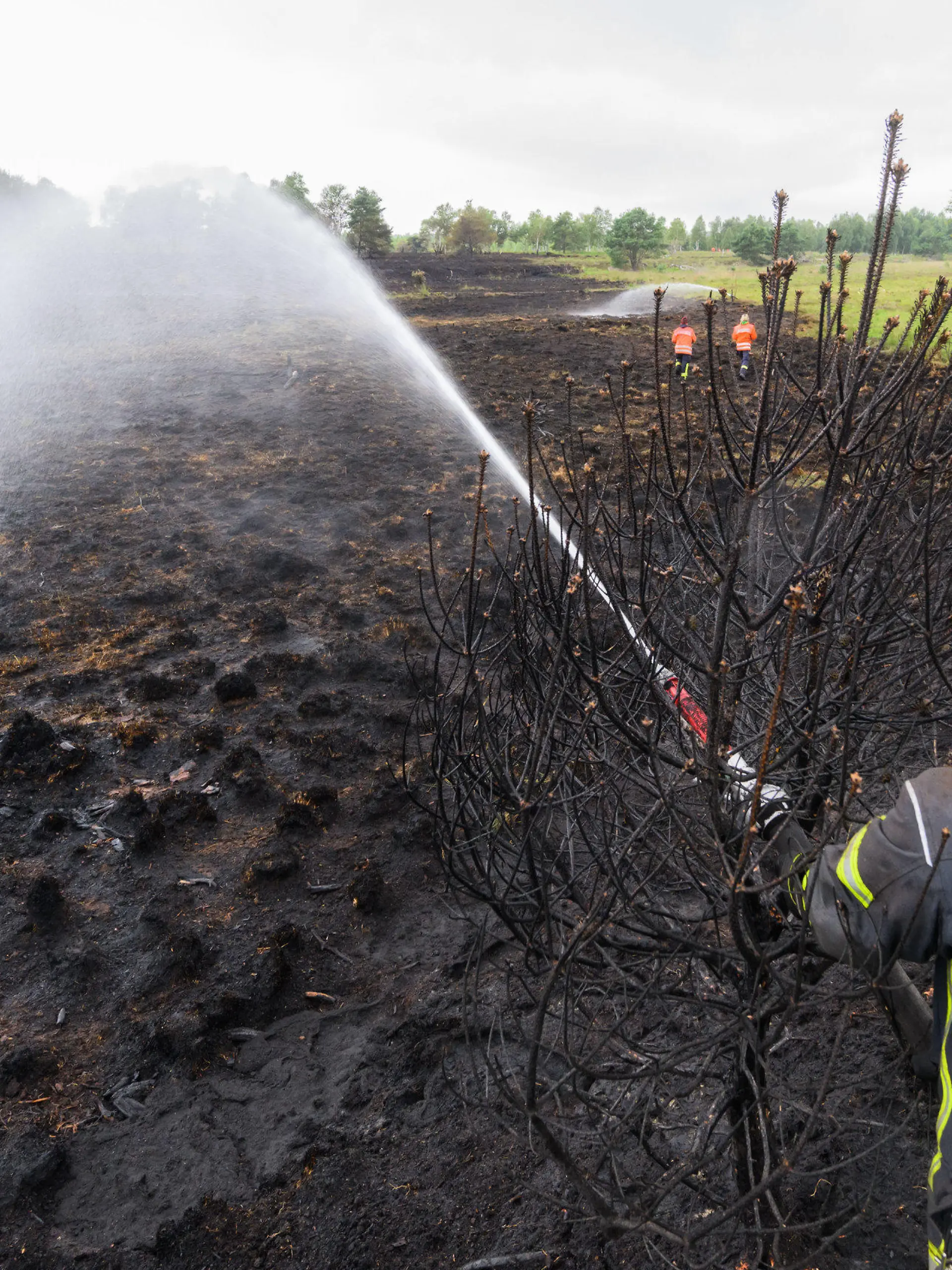 22.07.2022, Niedersachsen, Sassenburg: Ein Feuerwehrmann löscht einen Brand im Großen Moor im Landkreis Gifhorn. Am Donnerstag war im Moor ein Feuer auf einer Fläche der Größe von rund 35 Fußballfeldern ausgebrochen. Die Löscharbeiten werden nach Angaben der Feuerwehr voraussichtlich mehrere Tage andauern. Foto: Julian Stratenschulte/dpa +++ dpa-Bildfunk +++