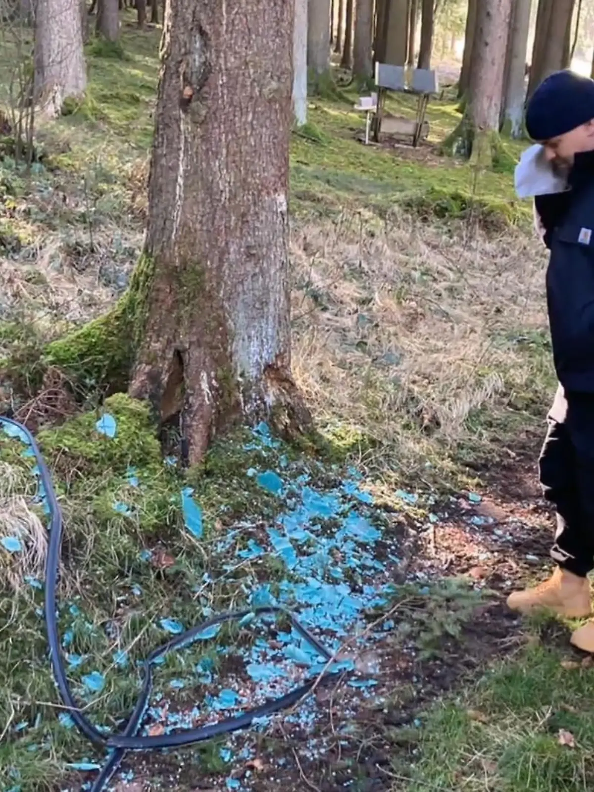 Bild zu: "Schock: Plötzlich steht Tim Mälzer blutend im Wald!"