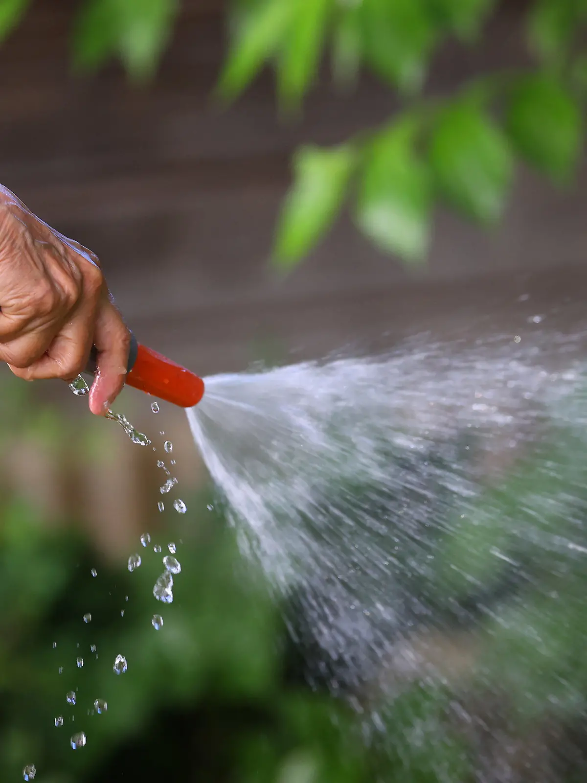 18.07.2022, Bayern, Kaufbeuren: Eine Frau wässert in einem Garten den Rasen mit Wasser aus einem Gartenschlauch. Foto: Karl-Josef Hildenbrand/dpa +++ dpa-Bildfunk +++