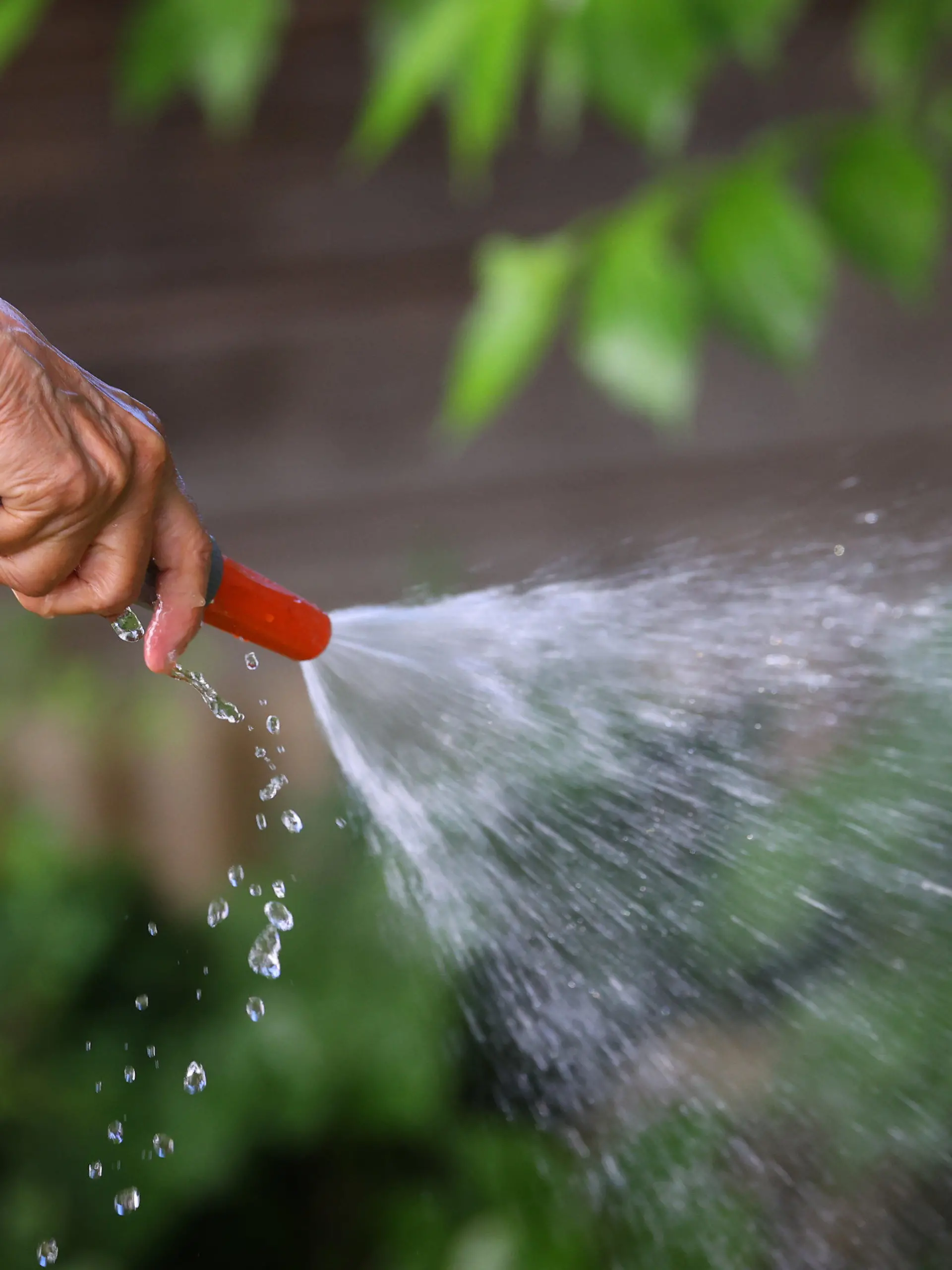 18.07.2022, Bayern, Kaufbeuren: Eine Frau wässert in einem Garten den Rasen mit Wasser aus einem Gartenschlauch. Foto: Karl-Josef Hildenbrand/dpa +++ dpa-Bildfunk +++