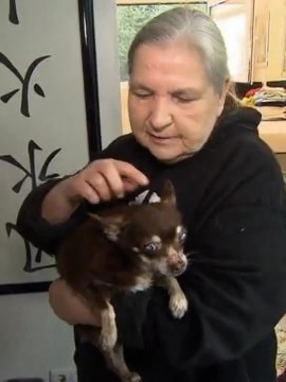 Bild zu: "Liane Olert erklärt, mit welchen skrupellosen Mitteln die Hunde benutzt werden"