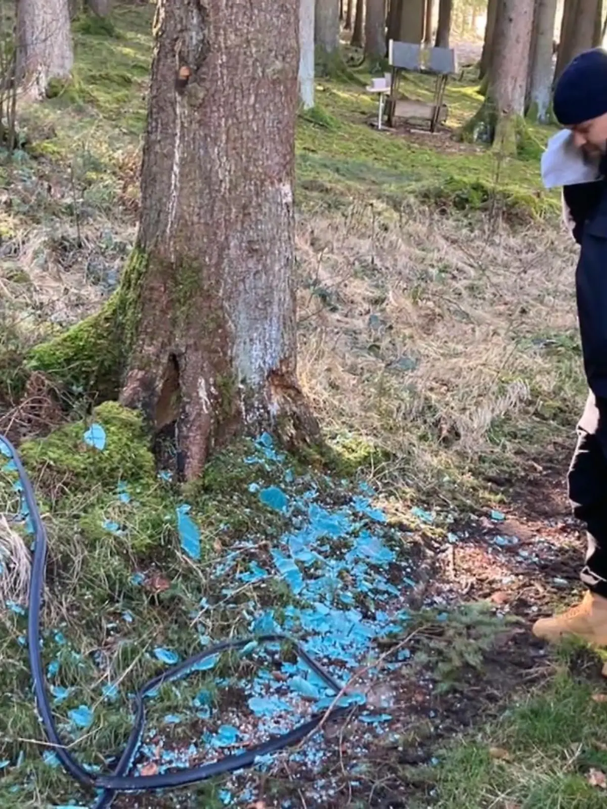 Bild zu: "So gefährlich wird "Kitchen Impossible" im Jahr 2022"