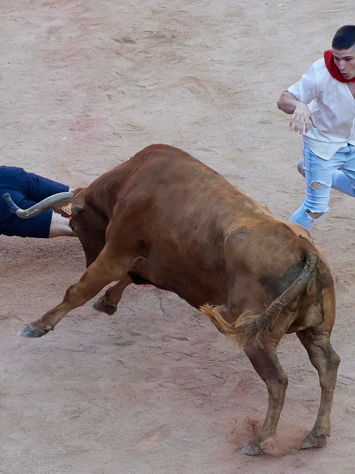 July 10, 2022, Pamplona, Navarre, Spain: Fourth running of the bulls at the San Fermin Festival in Pamplona, northern Spain, on July 10, 2022. Revelers from all over the world flock to Pamplona every year to participate in the eight days of bullfighting. Made famous by American writer Ernest Hemmingway's 1926 novel 'The Sun Also Rises', the annual San Fermin Festival involves the daily running of the bulls through the historic heart of Pamplona to the bullring. (Credit Image: © Ruben Albarran/ZUMA Press Wire