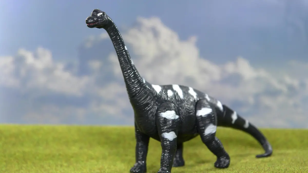 Brachiosaurus | Verwendung weltweit, Keine Weitergabe an Wiederverkäufer.