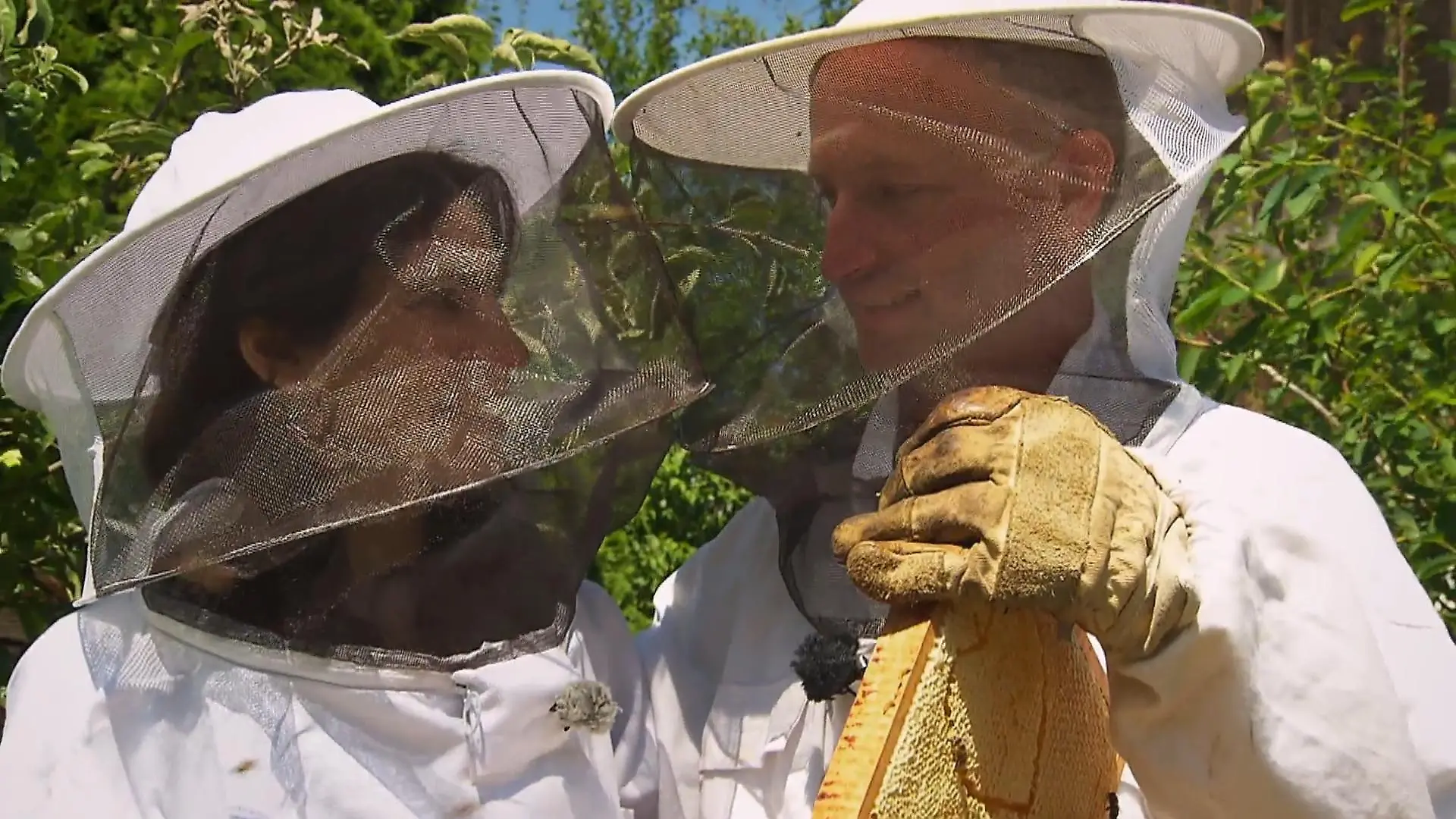 SO süß überrascht Bienenzüchter Hubert seine Andrea Bauer sucht Frau: Was kommt denn da zum Vorschein?