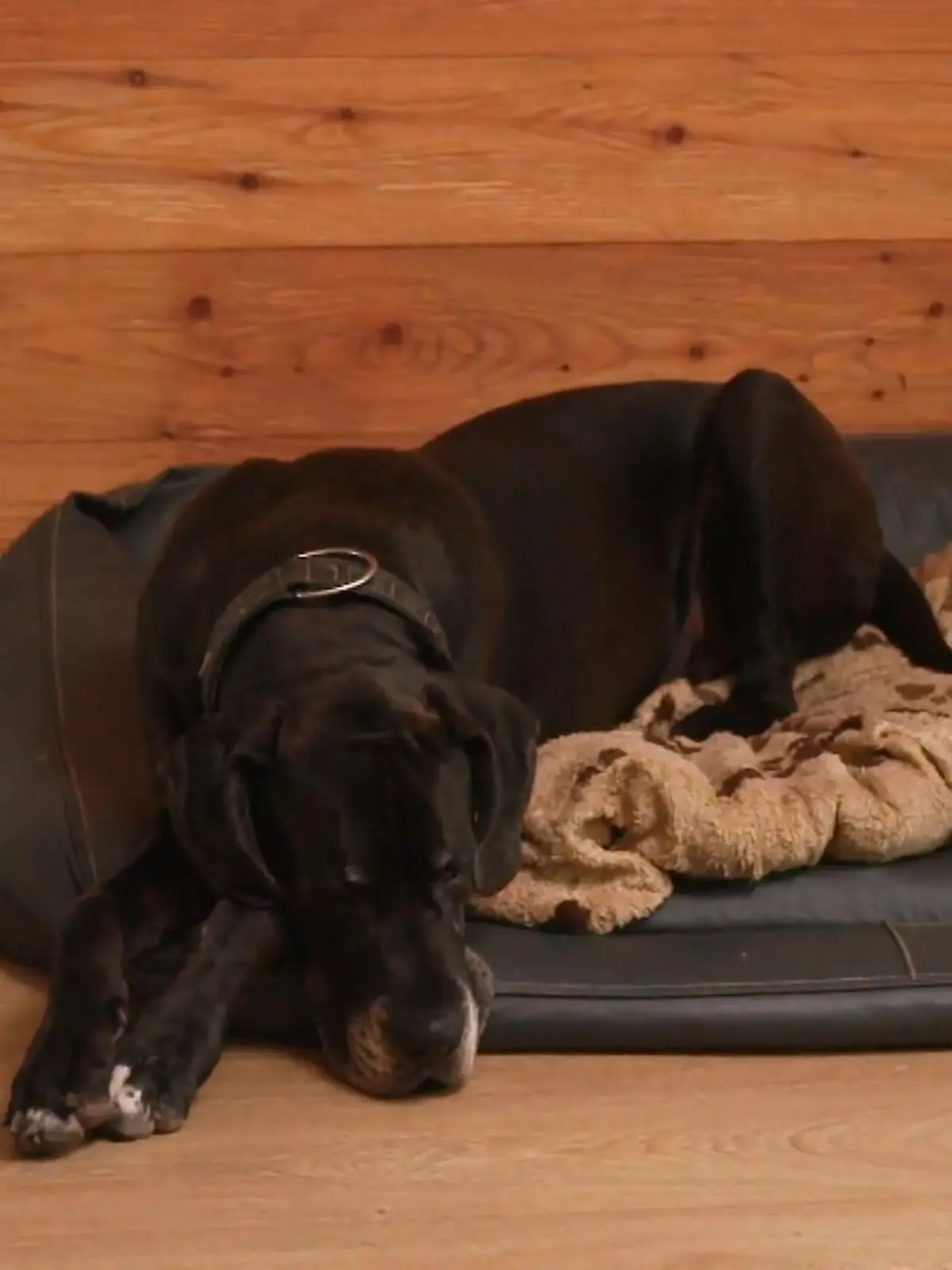 Bild zu: "Keine Angst mehr vor Jam?"