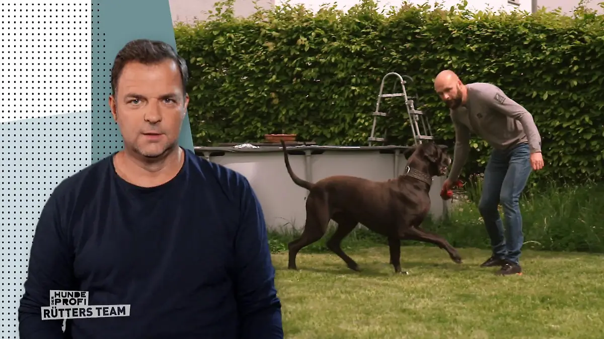 Dogge Jam ist feindselig "Es ist kein Spaß mehr"