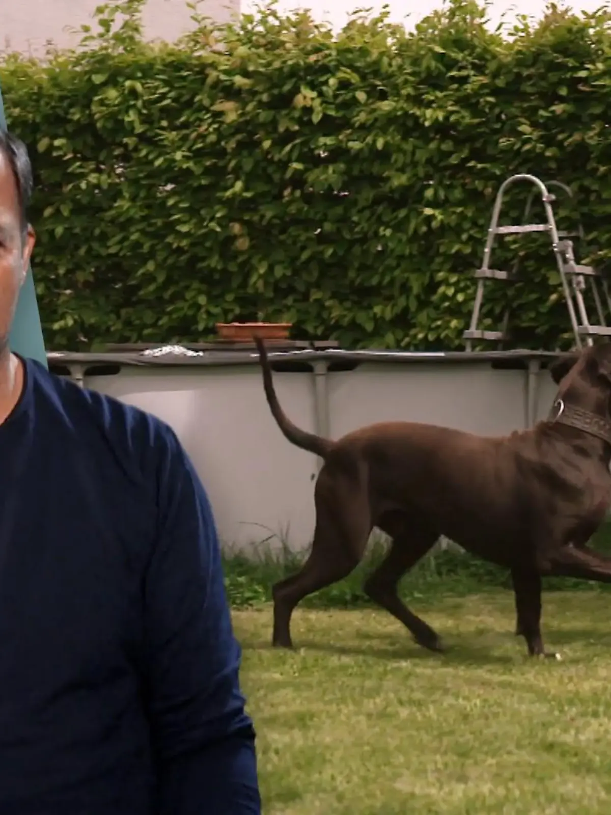 Bild zu: "Dogge Jam ist feindselig"