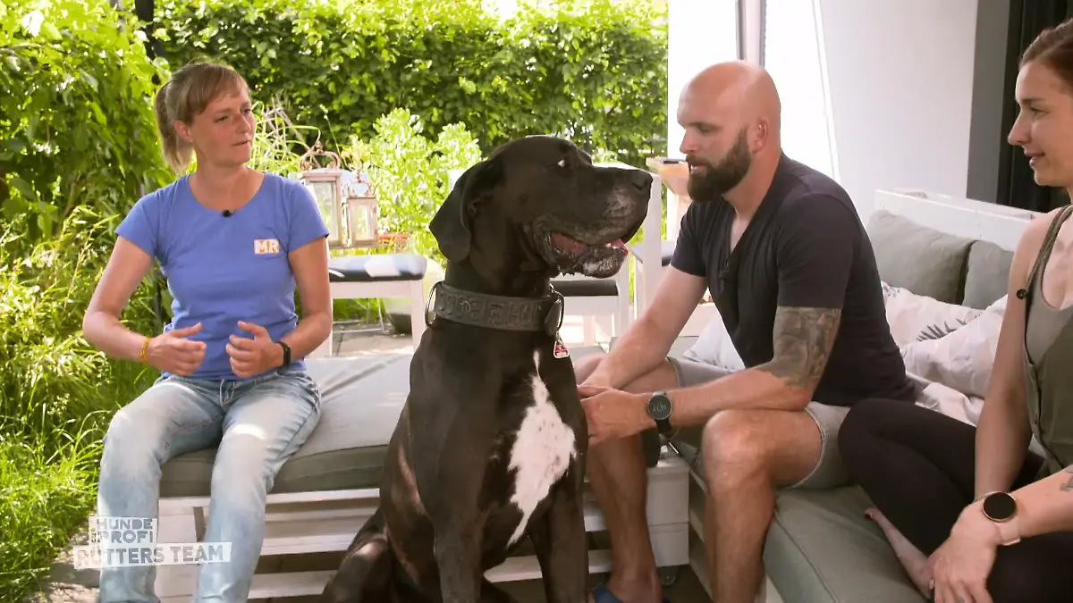 Trainerin Franzi hilft Nils mit seinem Hund Jam Guter Rat von Nöten