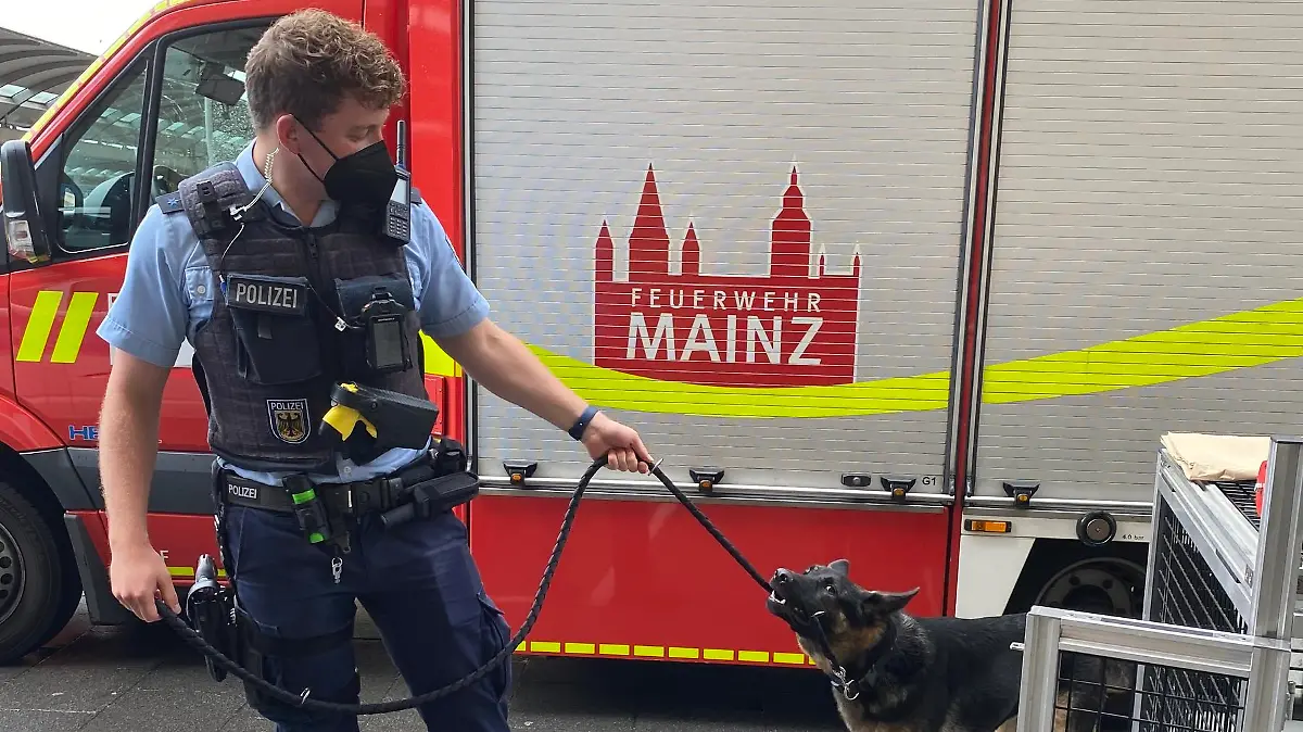 Sichergestellter Hund