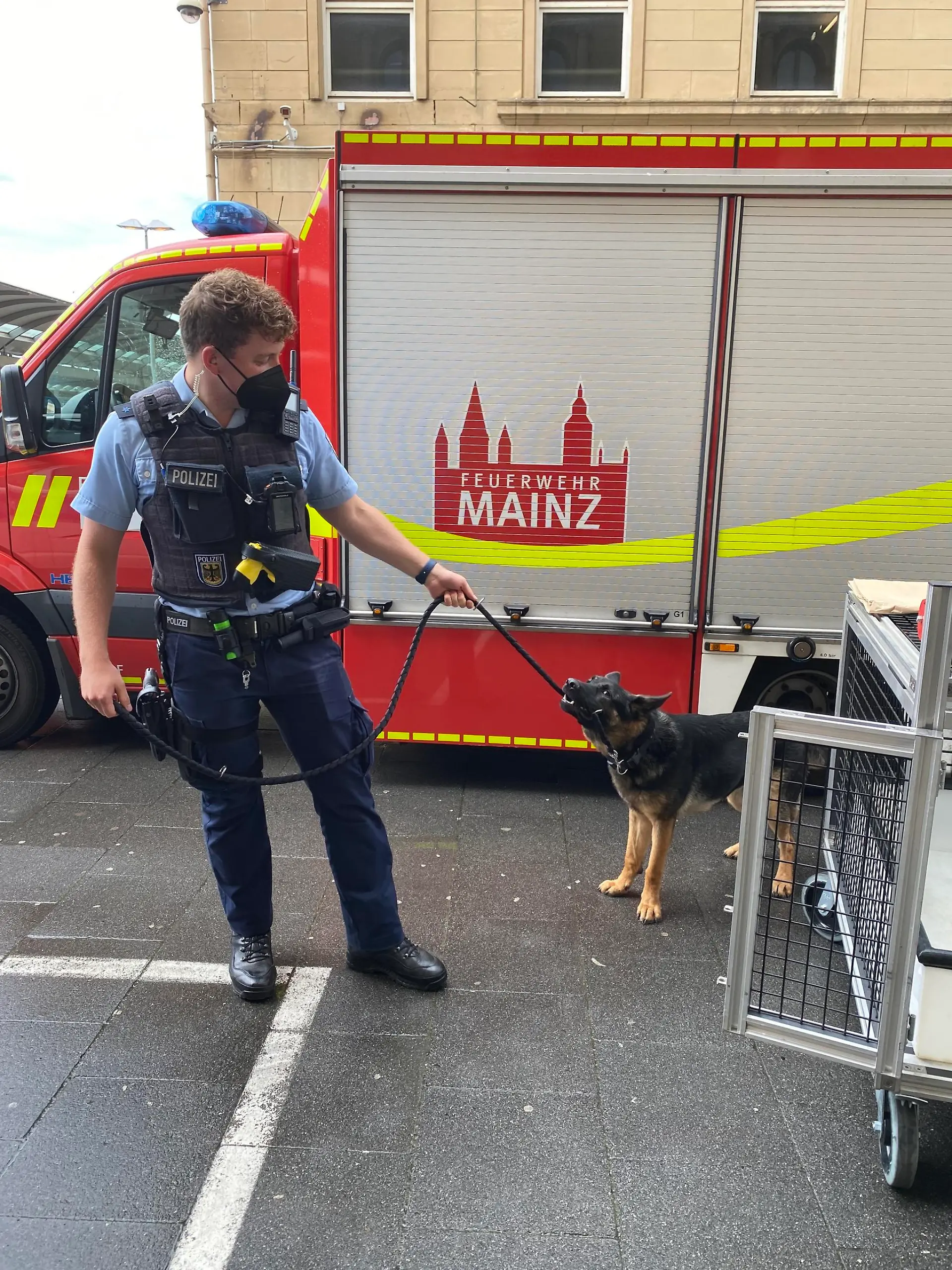 Sichergestellter Hund