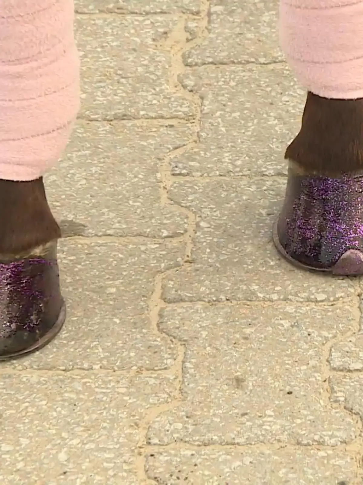 Eine Frau aus Brüggen am Niederrhein hat sich was überlegt: Nicht nur Menschen sollen sich die Nägel lackieren, sondern auch Pferde. Die 27-Jährige aus Brüggen möchte mit einem Glitzer-Balsam für Pferdehufe überzeugen. Die Pflege gibts in verschiedenen Farben und sie riecht nach Vanille.