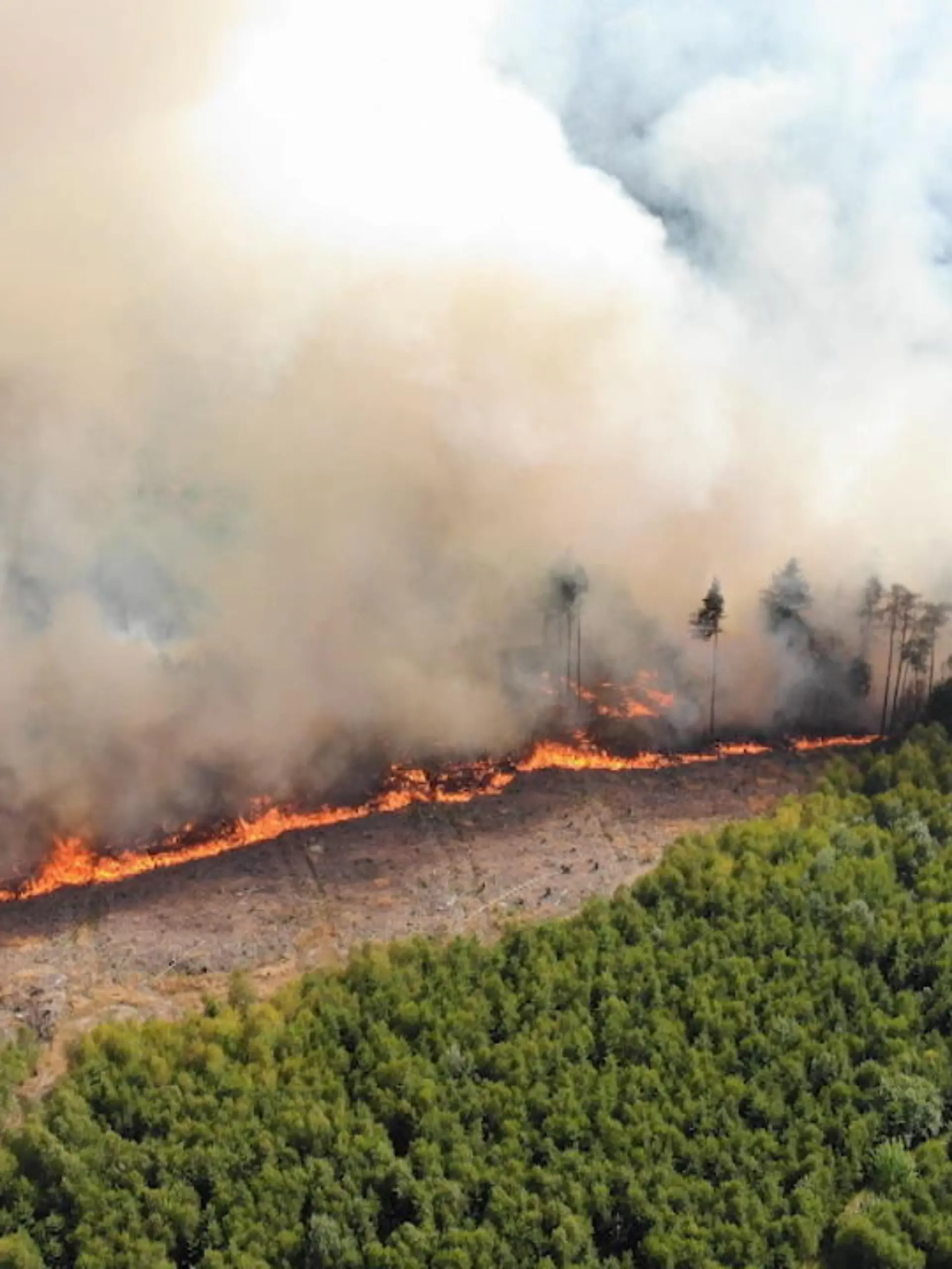 Heute sind nur noch abgebrannte Bäume und viel Asche übrig. Gestern Nachmittag brennt ein großes Waldstück im Märkischen Kreis. Stundenlang kämpft die Feuerwehr gegen die Flammen. Anwohner sind in Gefahr. Dann Aufatmen: Es fängt es an zu regnen. Aber jetzt machen noch Glutnester Sorgen.