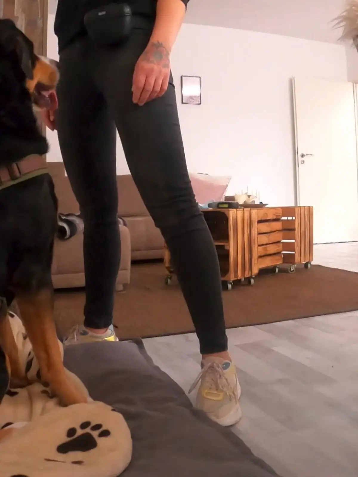 Bild zu: "Kleine Minipartys zur Übung"