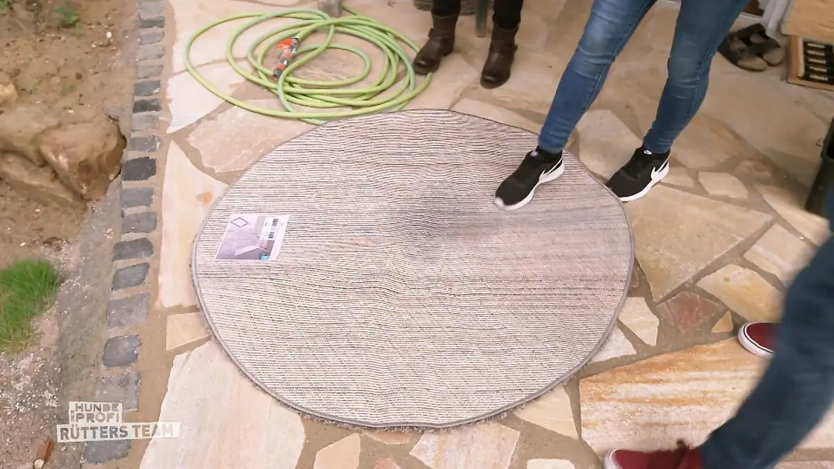 Der Hund hat sich selbst trainiert "Heute Morgen ging das noch"