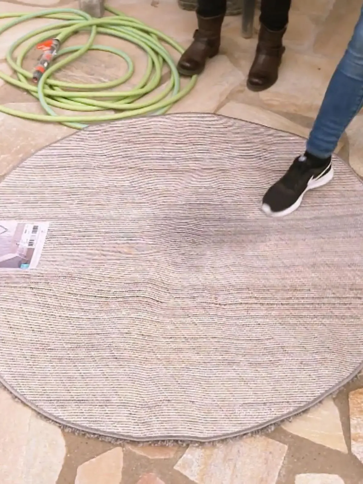 Bild zu: "Der Hund hat sich selbst trainiert"