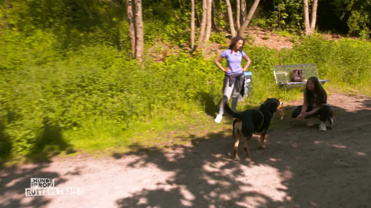 Eine stürmische Begrüßung Schnelligkeit ist gefragt