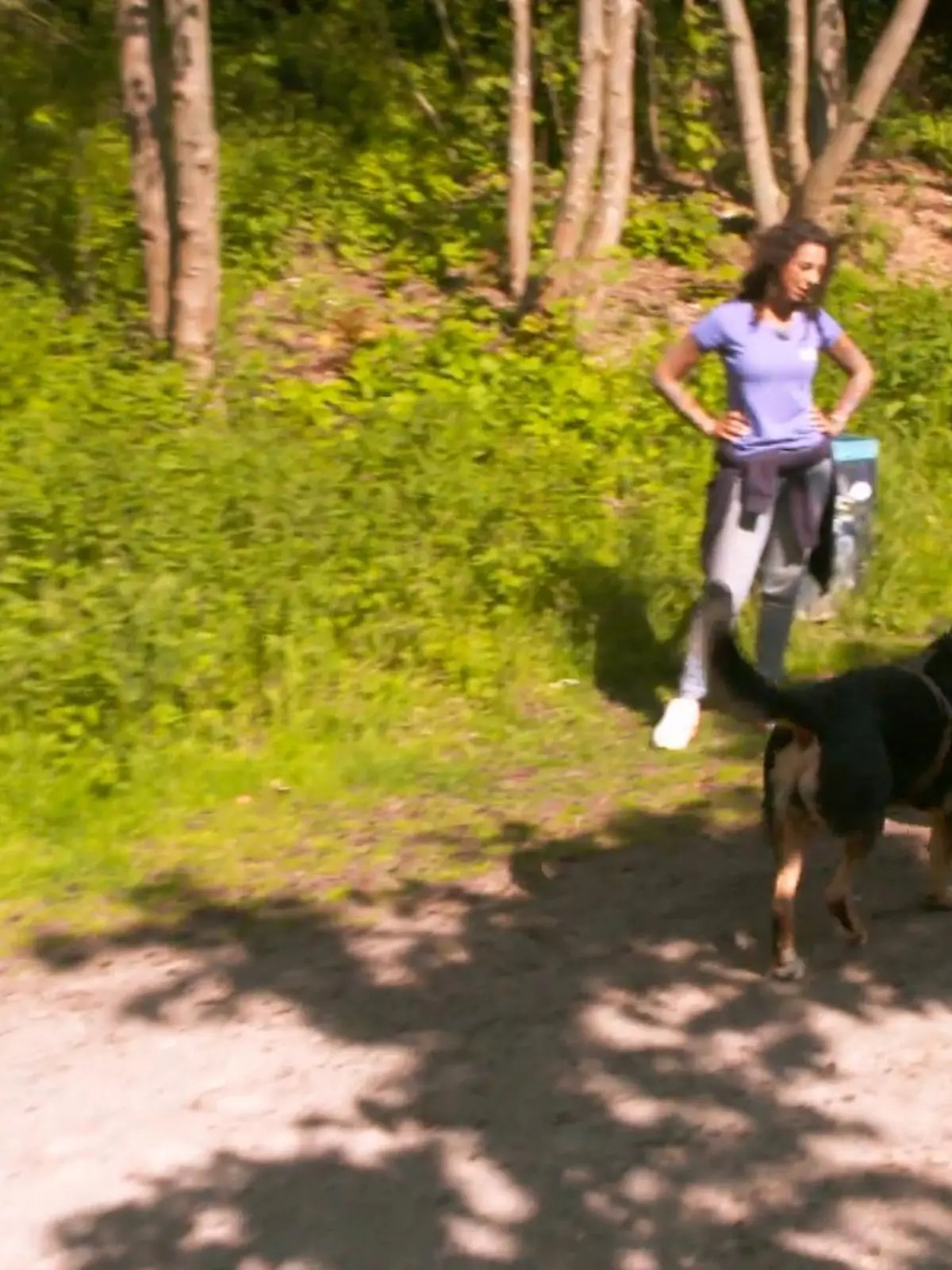 Bild zu: "Eine stürmische Begrüßung"