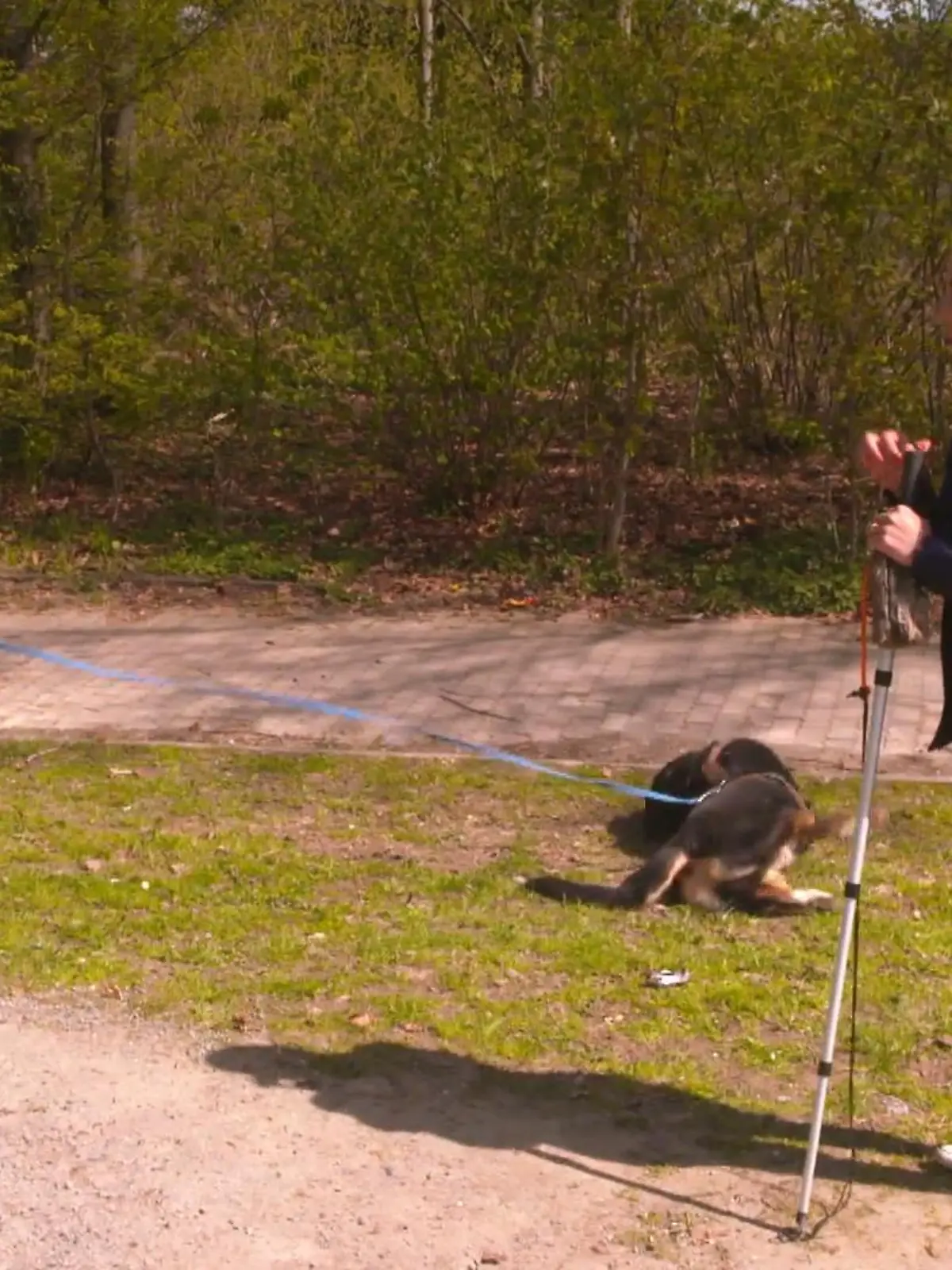 Bild zu: "Sie befeuert Buddys Wildheit"