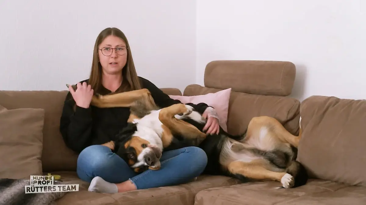 Buddy ist ihr bester Freund Alles für Buddy