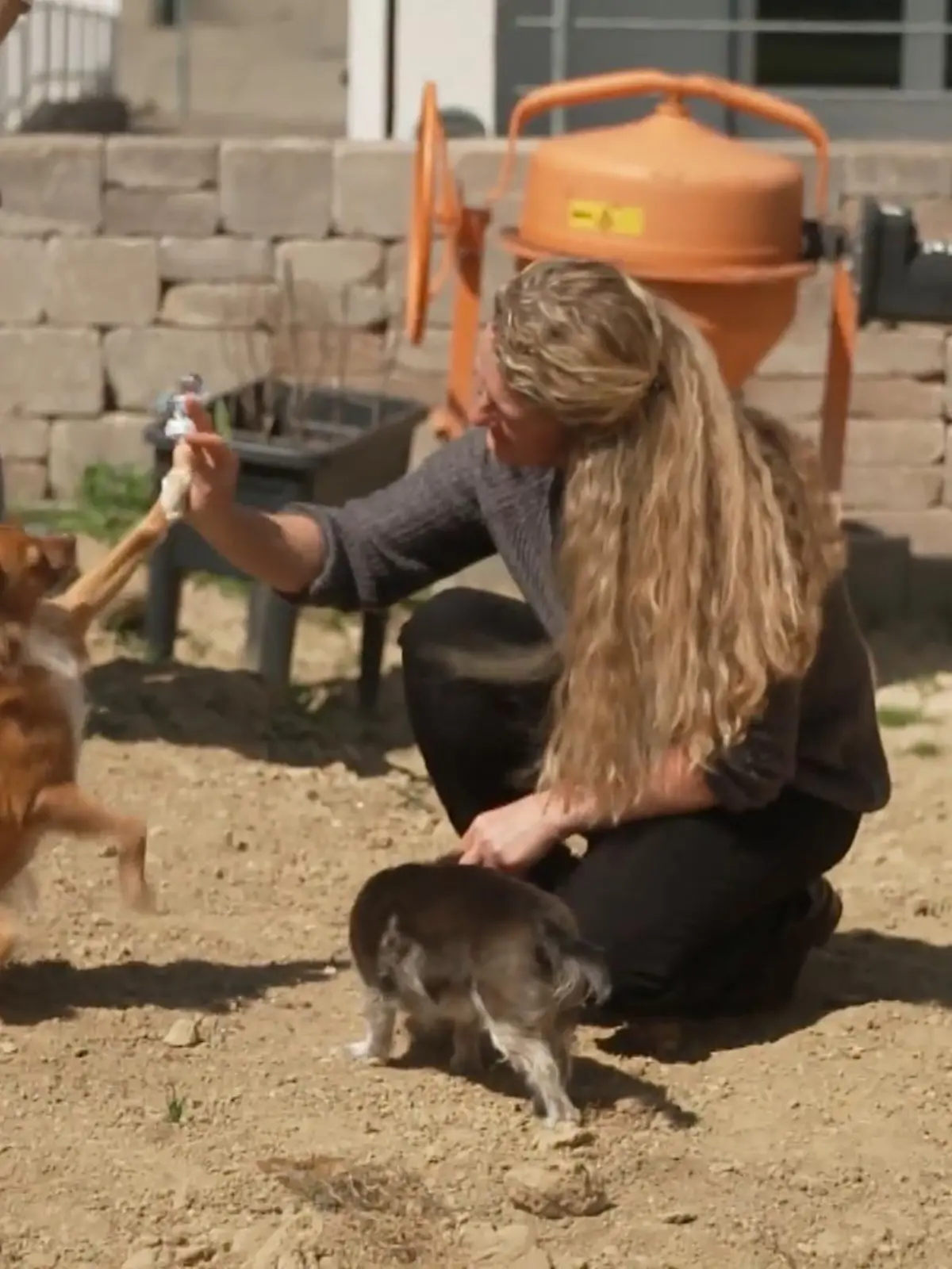 Bild zu: "Luna hat uns im Griff"