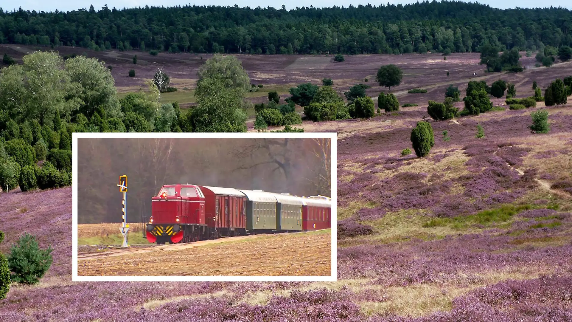Foto: RTL Nord