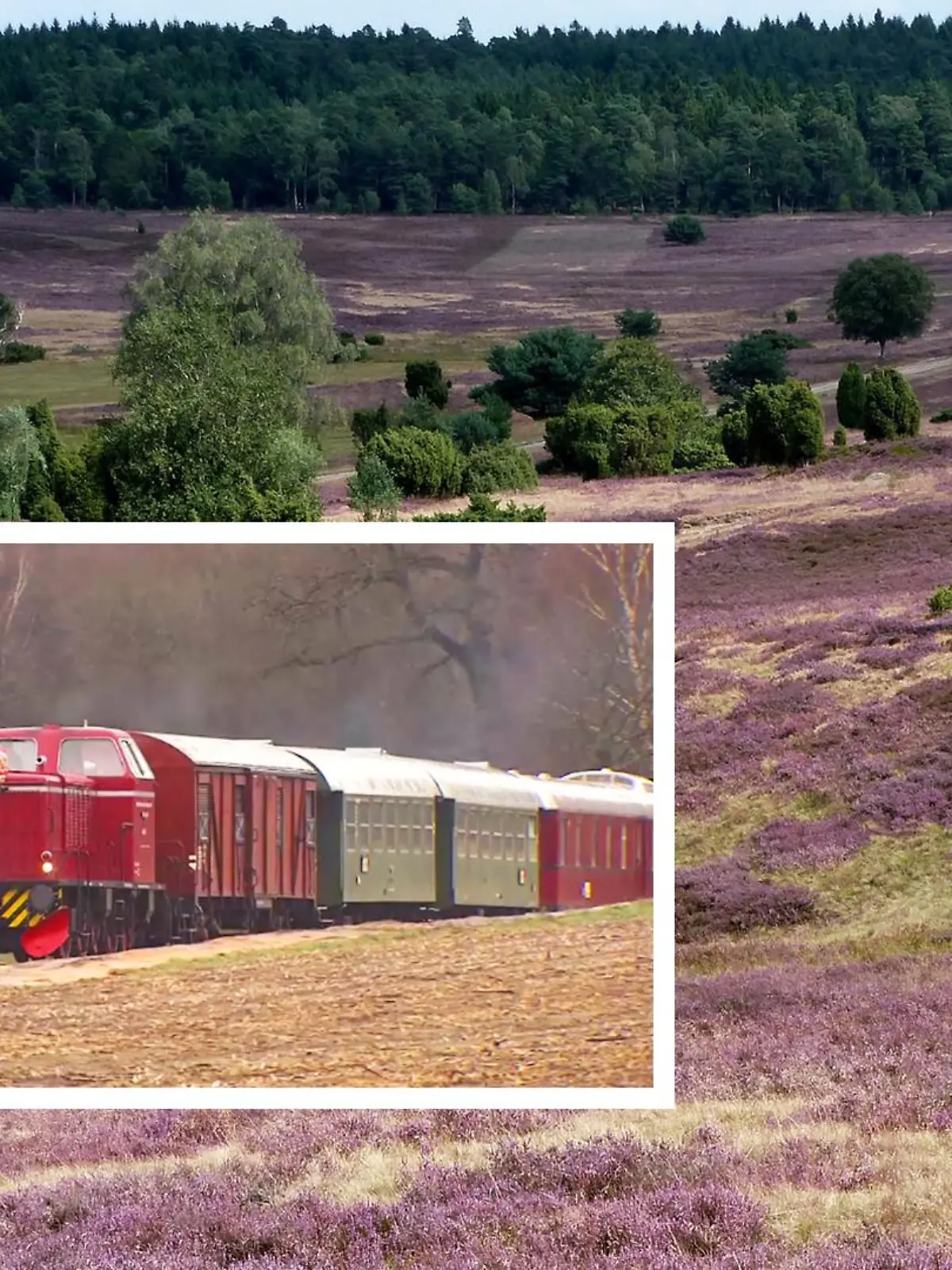 Foto: RTL Nord