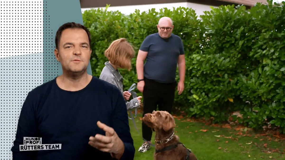 Snoopy ist nicht mehr wiederzuerkennen Gemeinsam Gassi