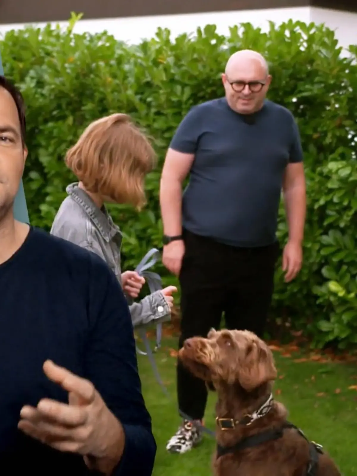 Bild zu: "Snoopy ist nicht mehr wiederzuerkennen"