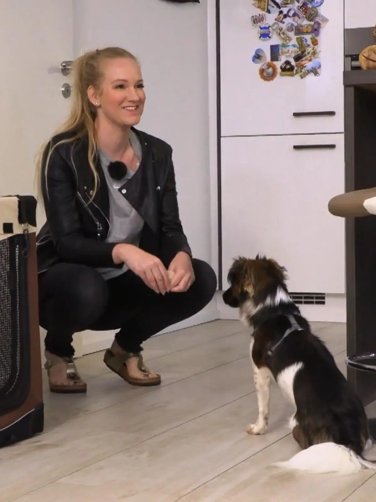 Bild zu: ""Heute ist Laika ein völlig anderer Hund""