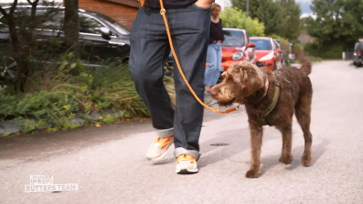 Stoppübung für Snoopy "Der Einstieg ist geschafft"
