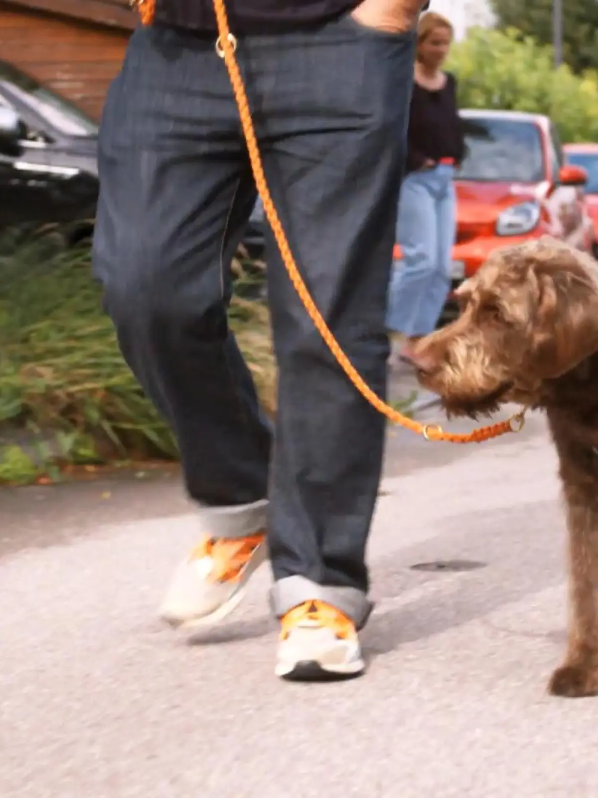 Bild zu: "Stoppübung für Snoopy"