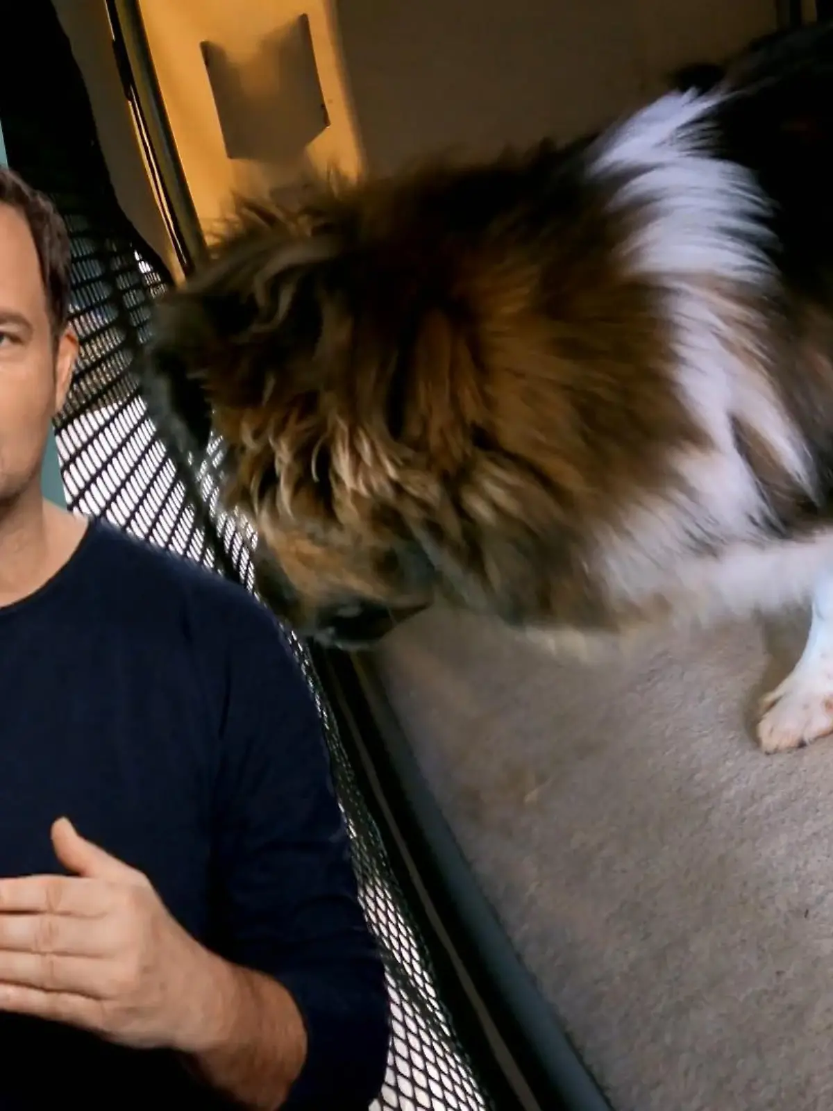 Bild zu: "Großer Erfolg für Laika"