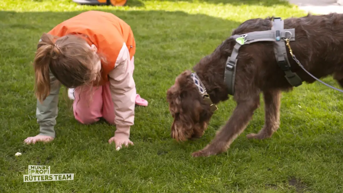 Blindes Vertrauen muss gelernt werden Spiel und Training für Snopy