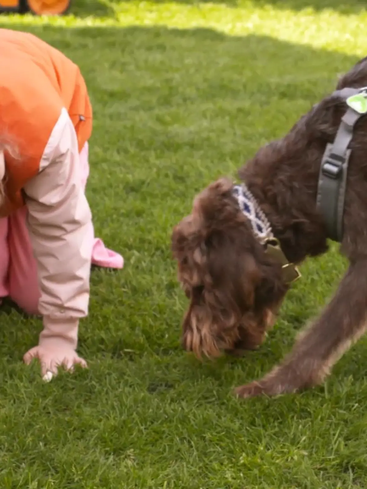 Bild zu: "Blindes Vertrauen muss gelernt werden"