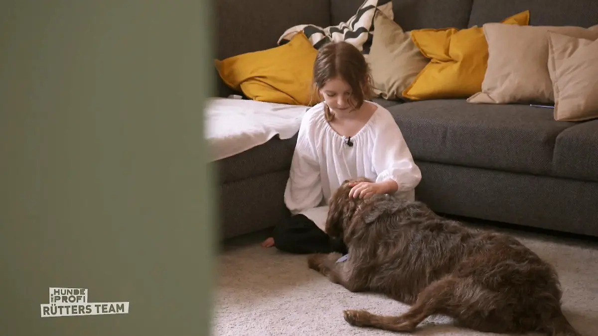 Die kleine Emma und Hund Snopy sind beide blind "Helfen wir uns gegenseitig"