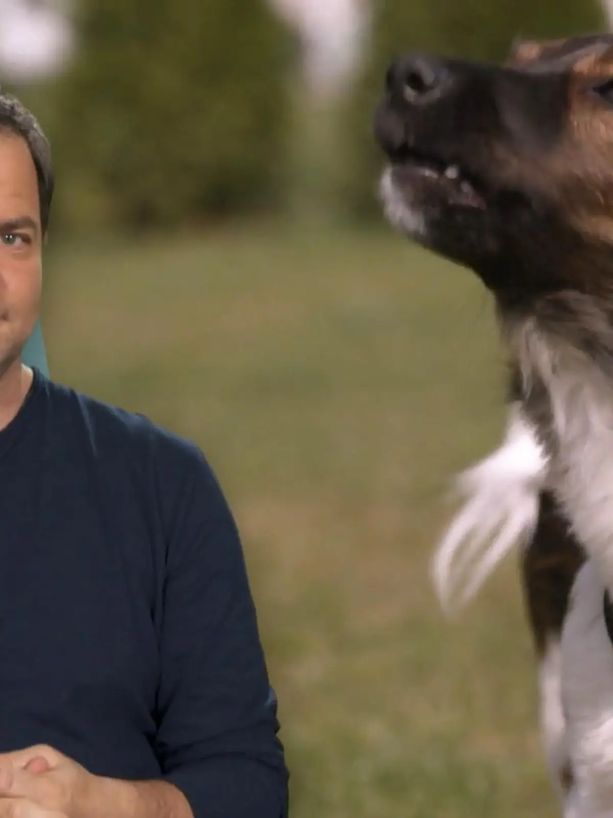 Bild zu: "Hündin Laika ist ein echter Störenfried"