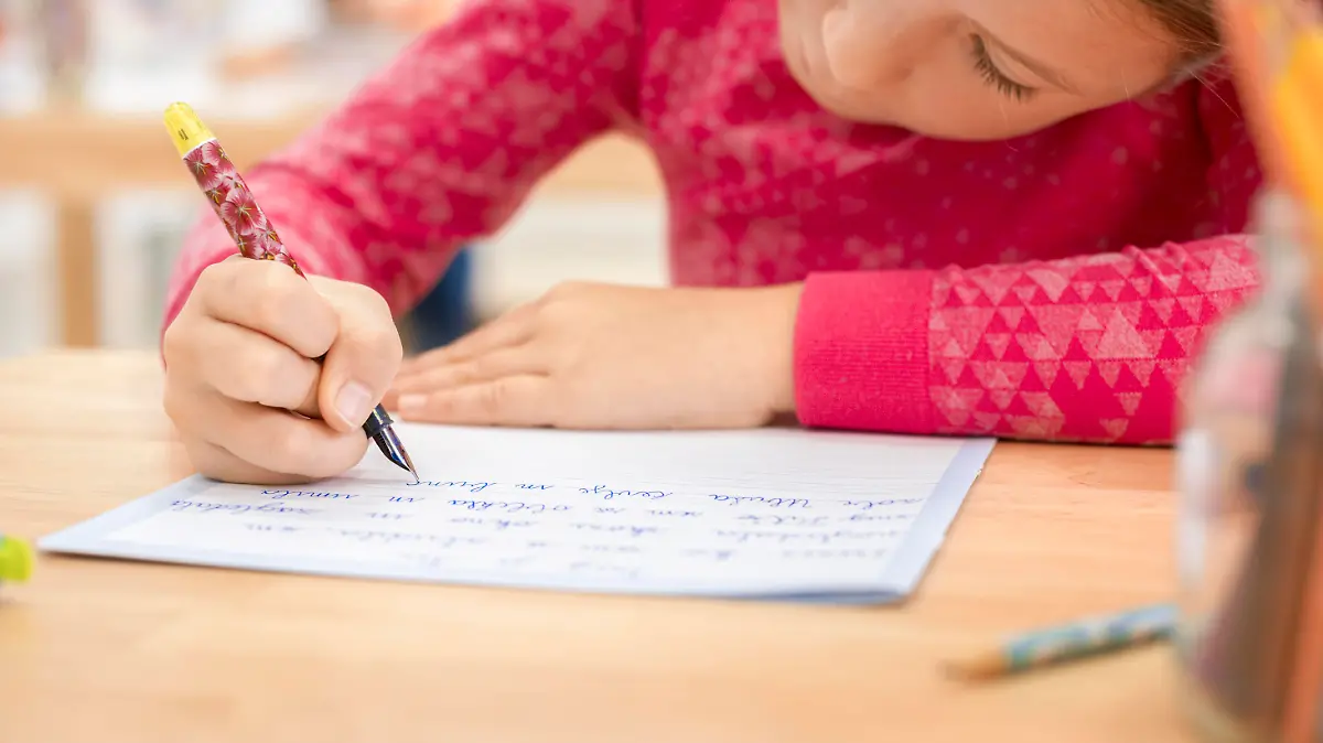 Schoolgirl writing in notebook in classroom.