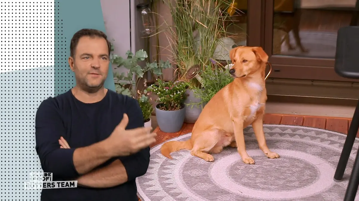 Buddy ist nun die Ruhe selbst Der letzte Besuch von Ellen