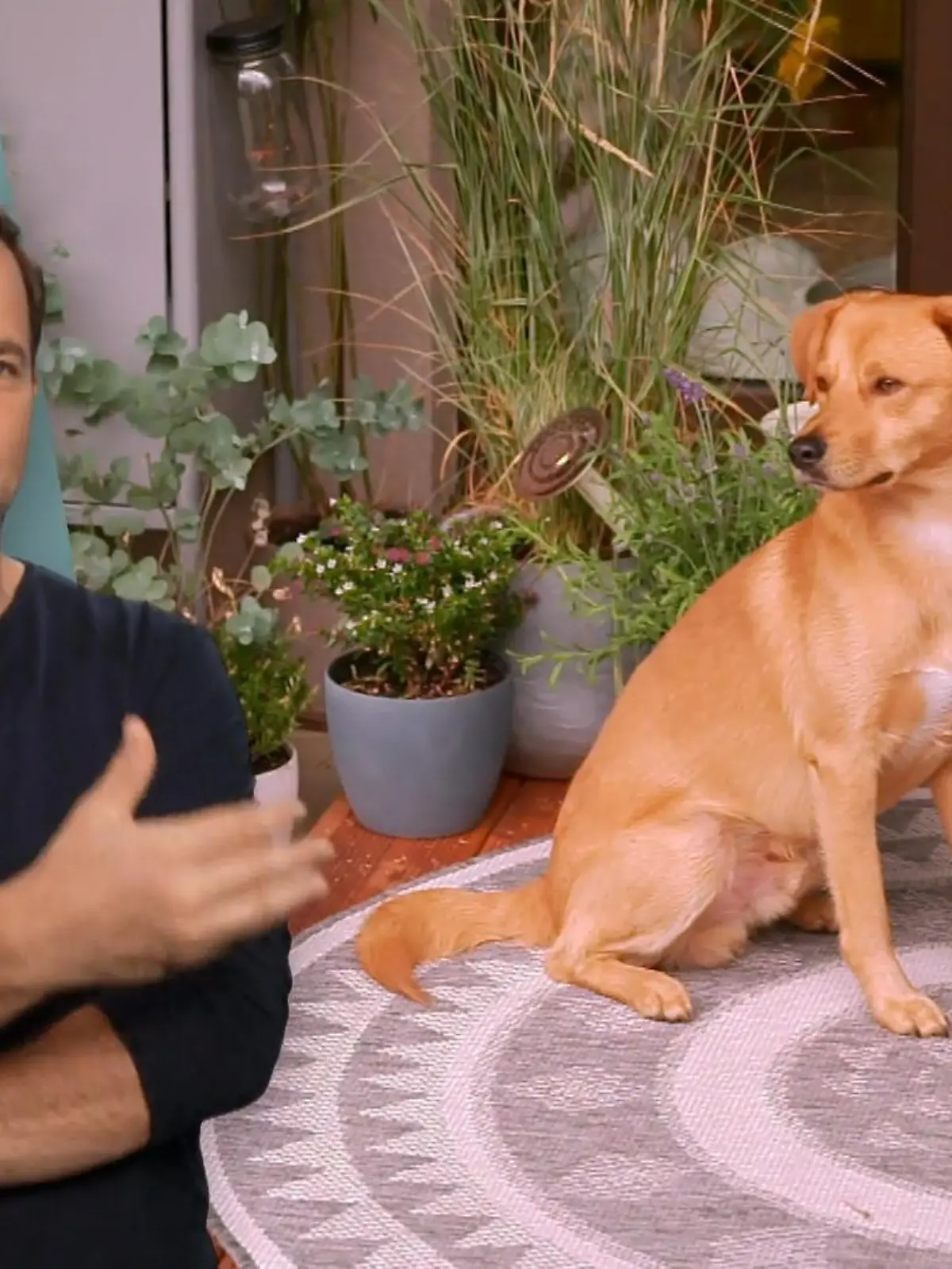 Bild zu: "Buddy ist nun die Ruhe selbst"