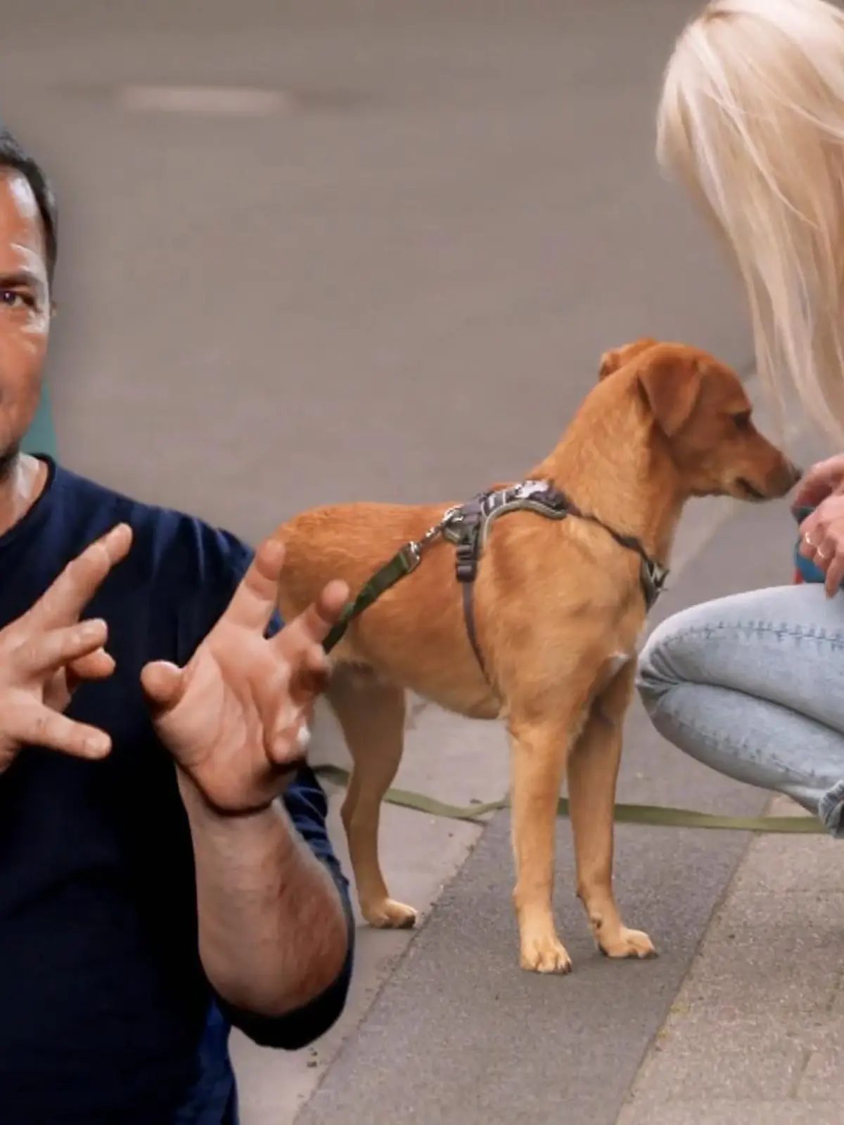 Bild zu: "Training zeigt erste Erfolge"