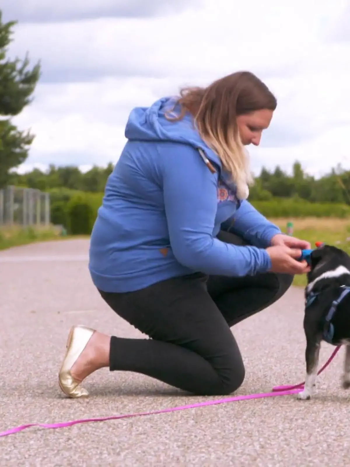 Bild zu: "Nala weiß, bei Frauchen gibt's Kekse"