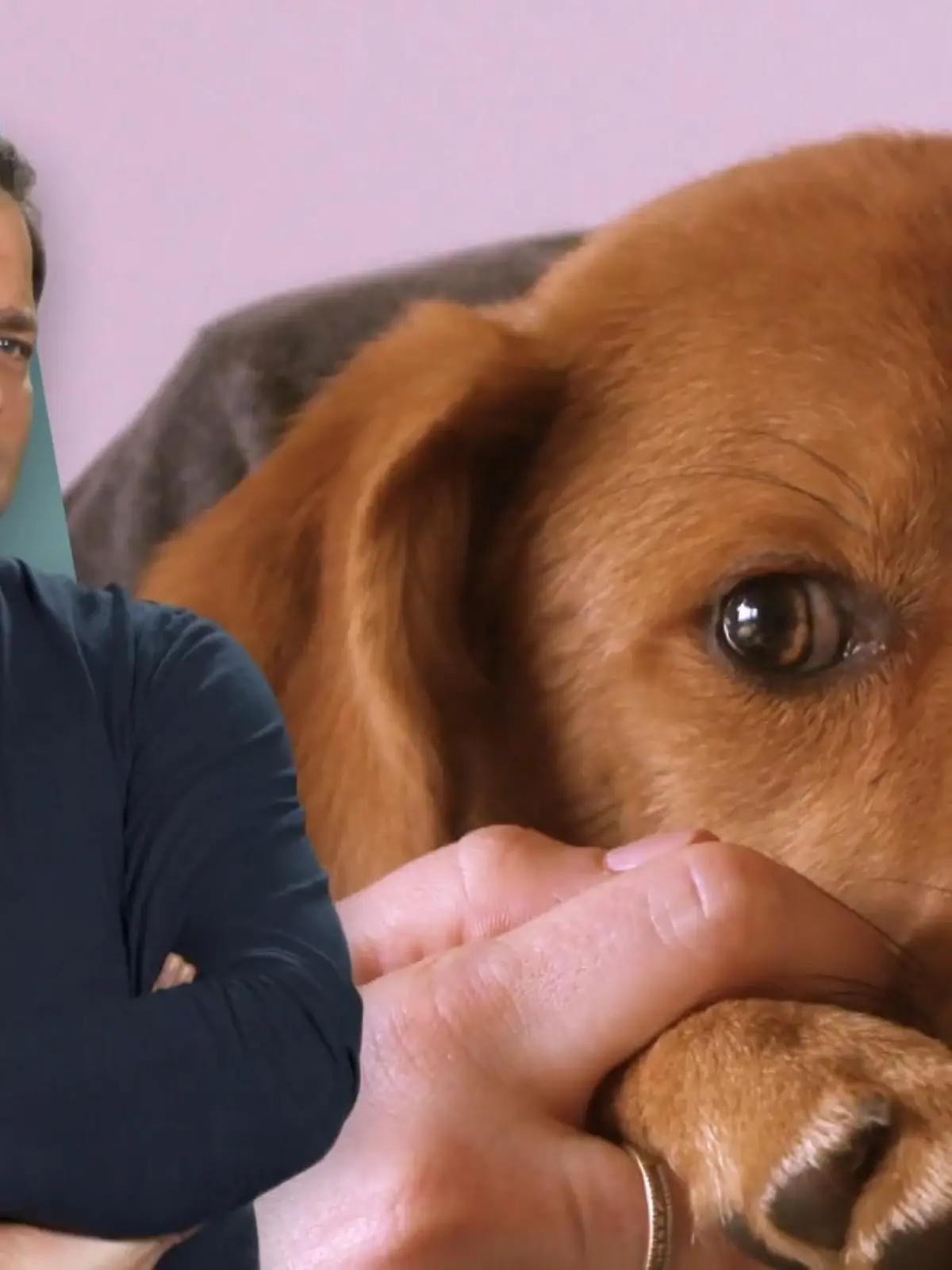 Bild zu: "Rüde Buddy ist total unsicher"