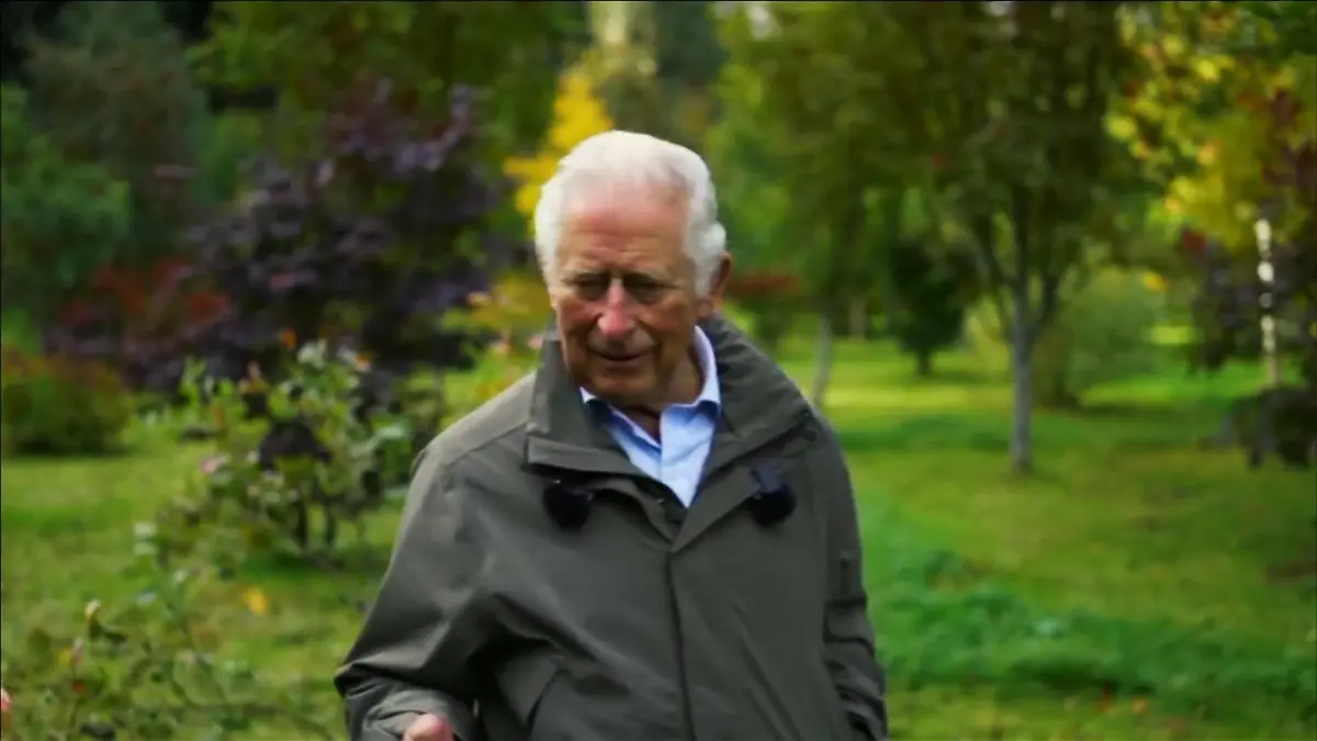 DAS kommt beim Thronfolger auf den Teller Öko-Prinz Charles