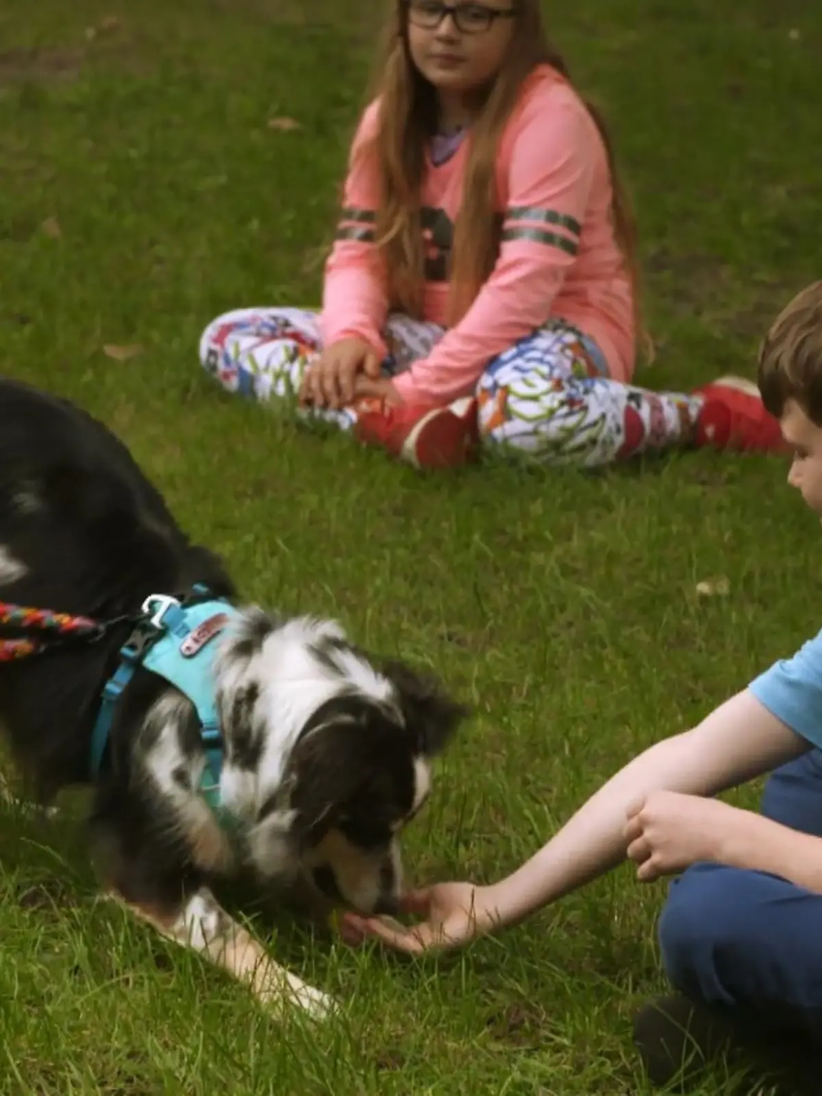 Bild zu: "Skadi hat ihre Angst abgelegt"