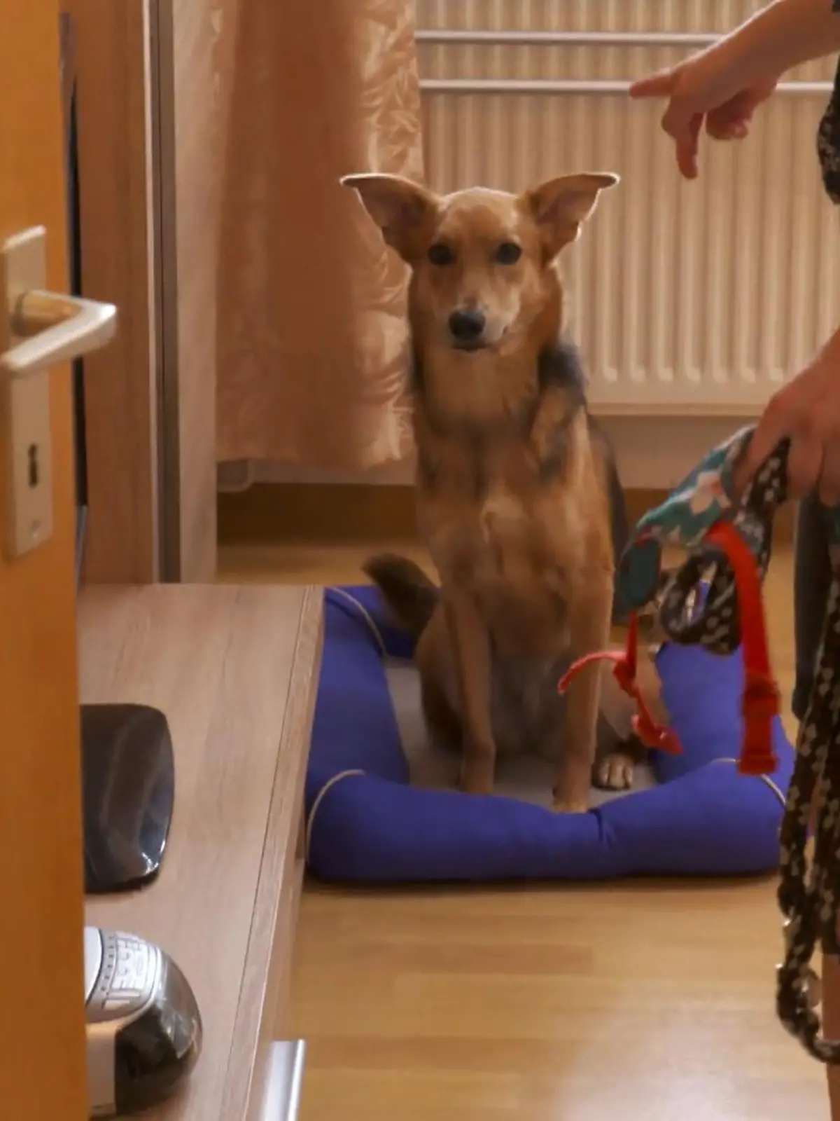 Bild zu: "Caramel wird auf die Probe gestellt"