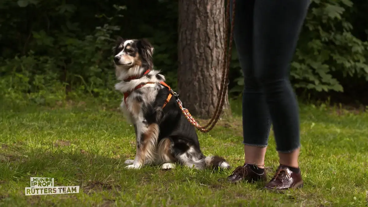 Kann Skadi ihre Angst vor Kindern überwinden? Immernoch Kinderscheu?