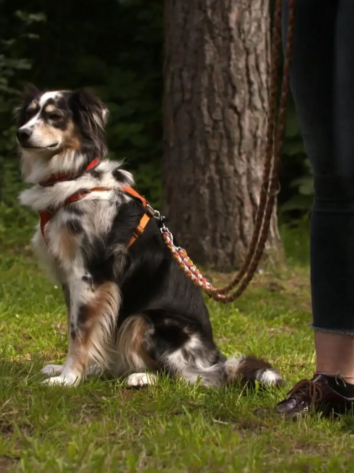 Bild zu: "Kann Skadi ihre Angst vor Kindern überwinden?"