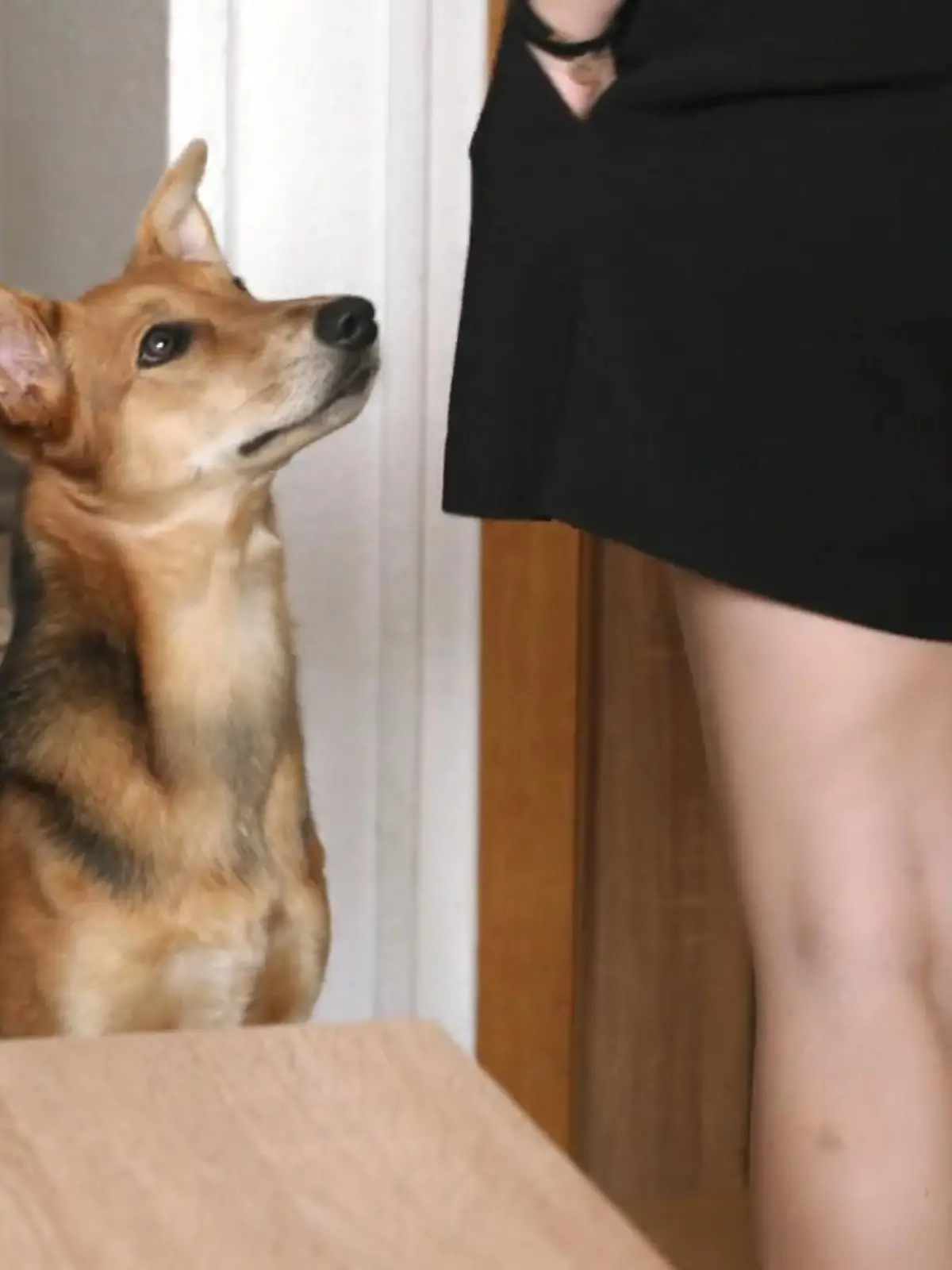 Bild zu: "Langsame Fortschritte bei Caramel"